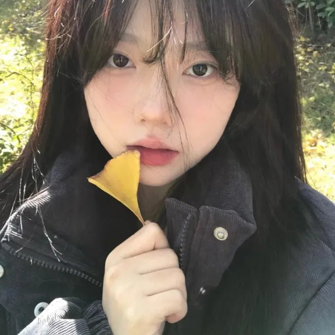 演员旅行中封面